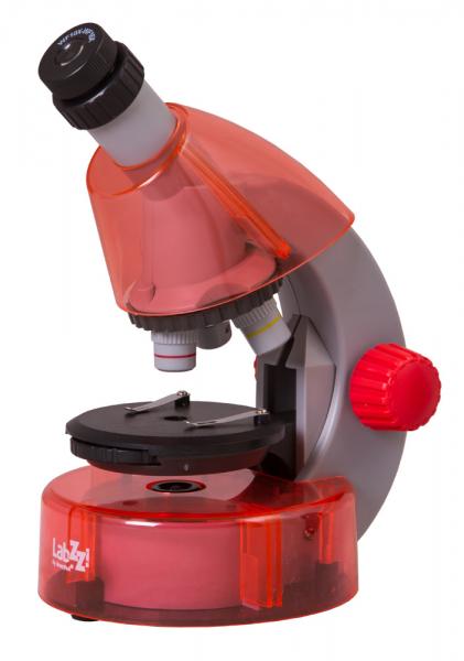 Микроскоп Levenhuk LabZZ M101 Апельсин