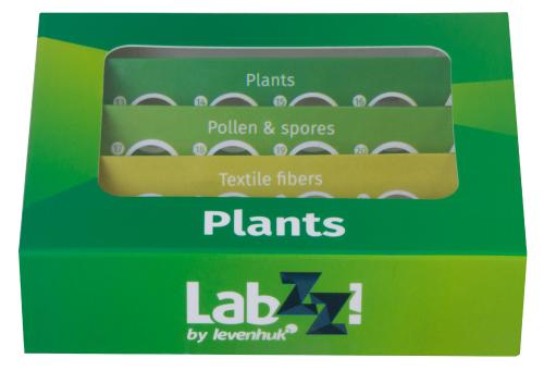 Набор микропрепаратов Levenhuk LabZZ P12, растения_4